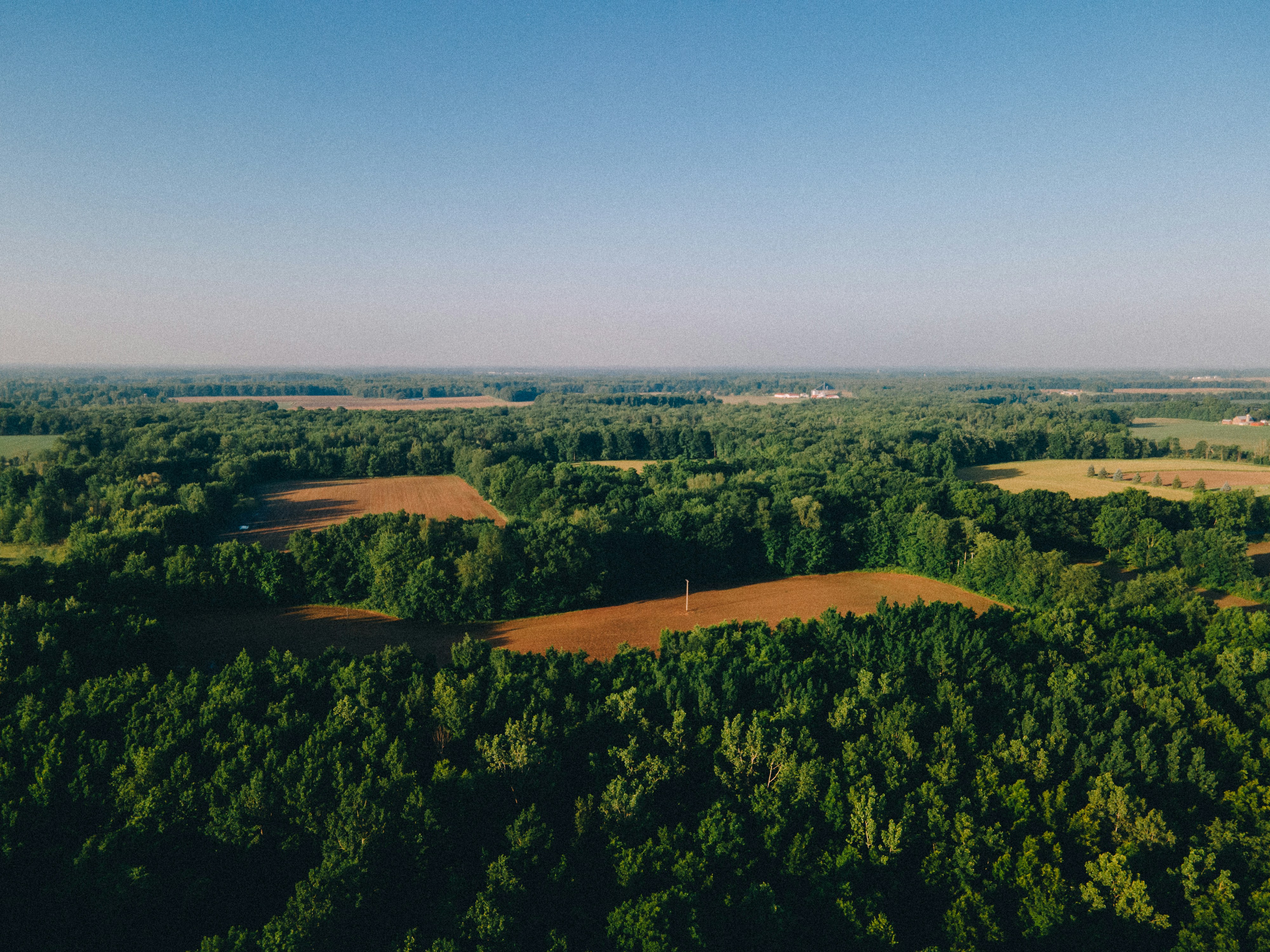 Closing the First‑Mile Gap: How AgriTrace Brings Smallholders and Intermediaries Into the Picture