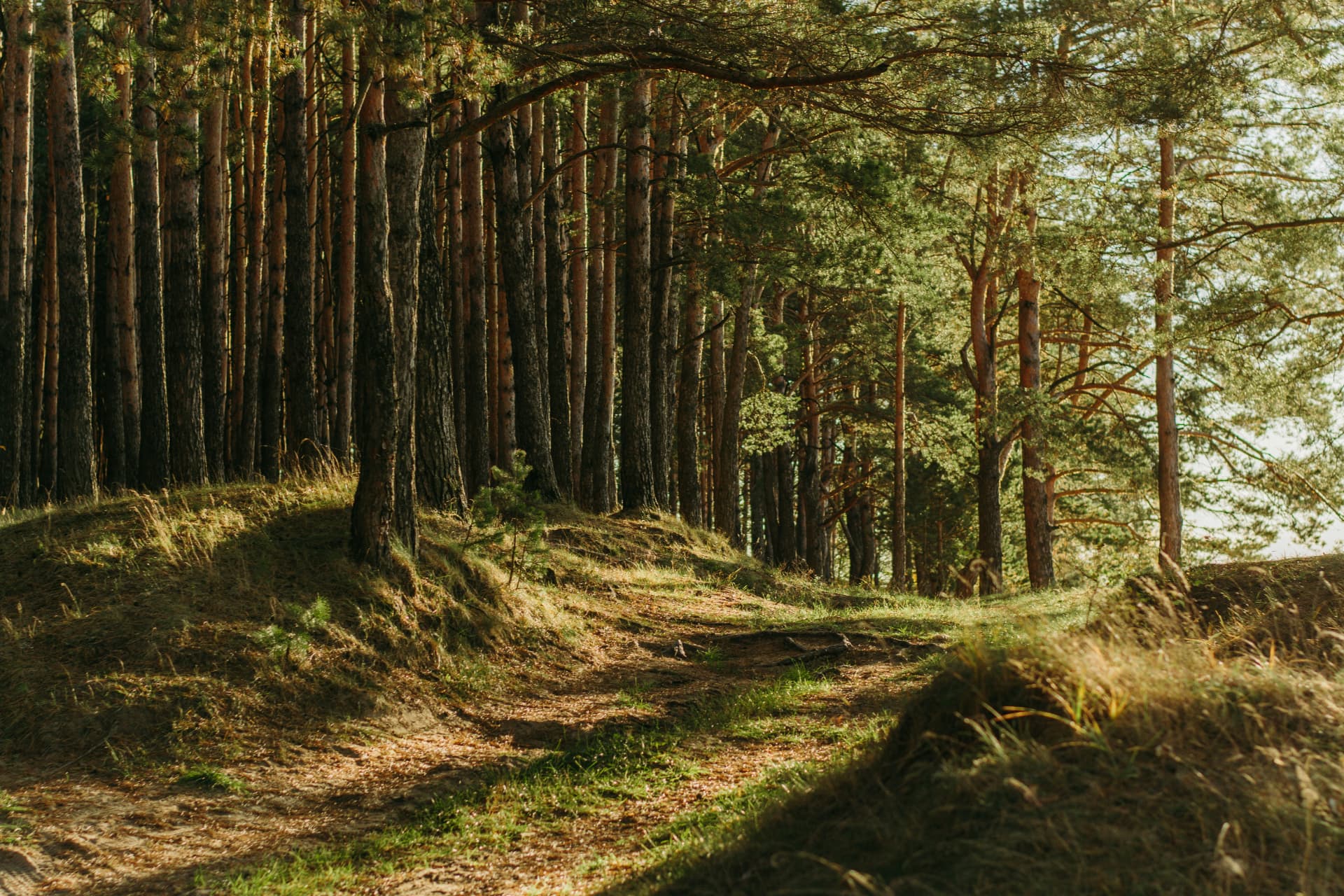 EUDR in 71 days: How your data becomes audit-ready, and the 4 habits that fail inspection