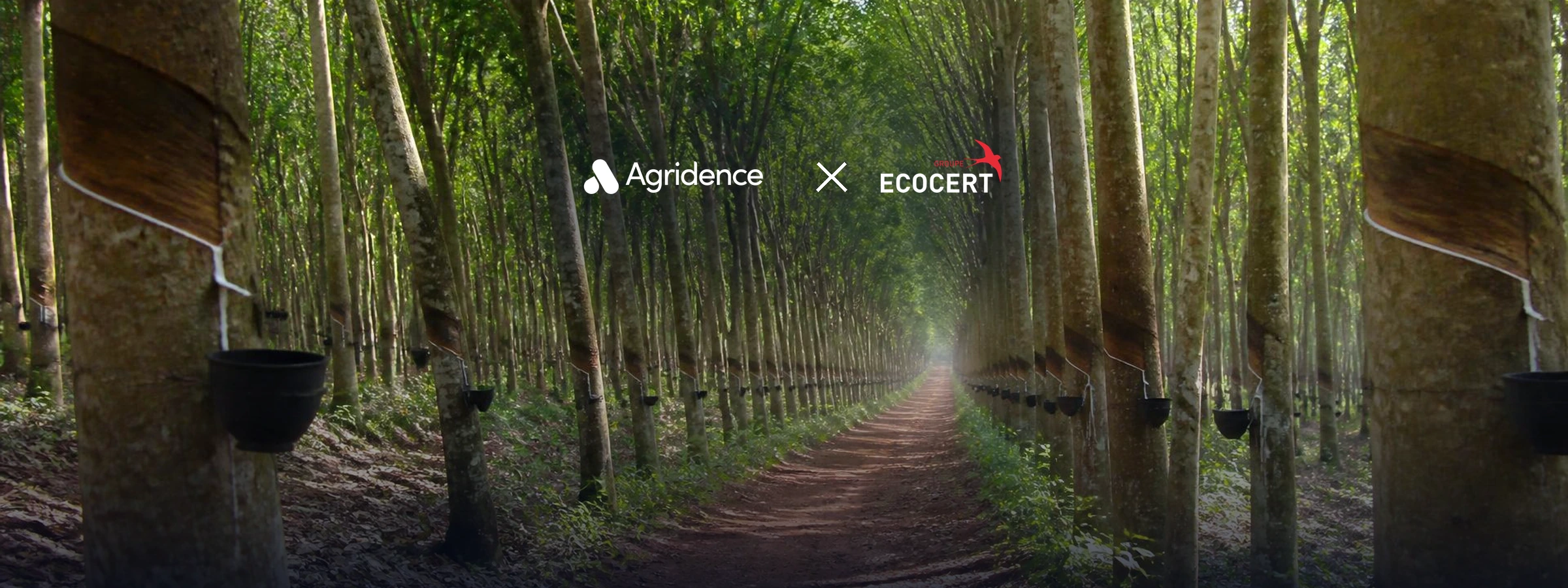 Agridence and Ecocert SouthEast Asia partner to digitalize certification data across Southeast Asian supply chains — Agridence press release