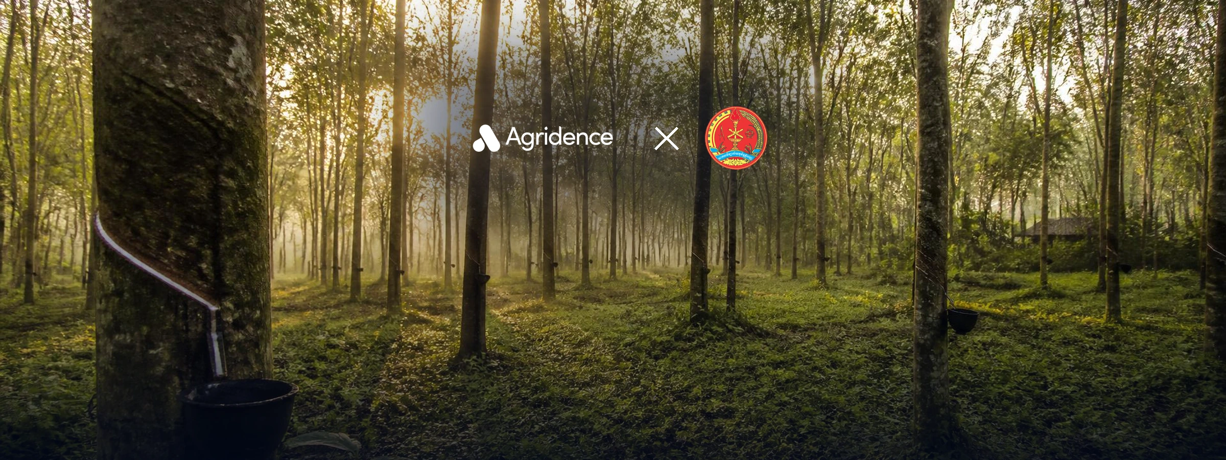 Agridence expands EUDR-ready traceability into Cambodia through Royal University of Phnom Penh partnership — Agridence press release